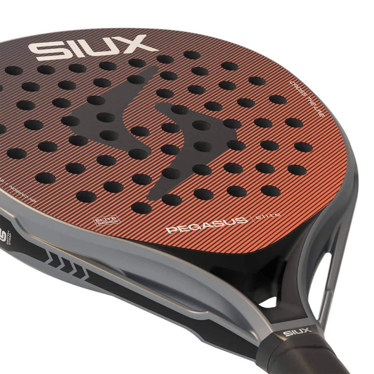 Pala Siux Pegasus Elite 2026 vista horizontal